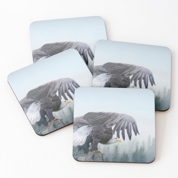 Item preview, Bald Eagle Taking Off designed and sold by Brian Tarr.