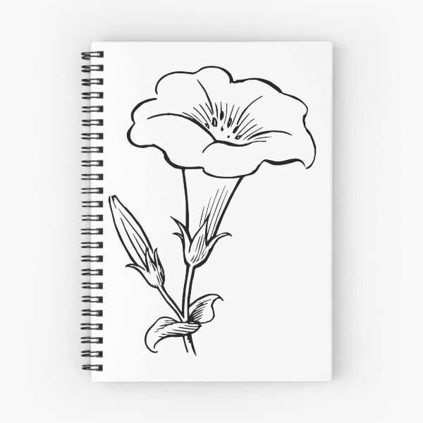 Artikelvorschau, Jasmin Blume | Illustration, Geschenkidee entworfen und verkauft von Chillions.