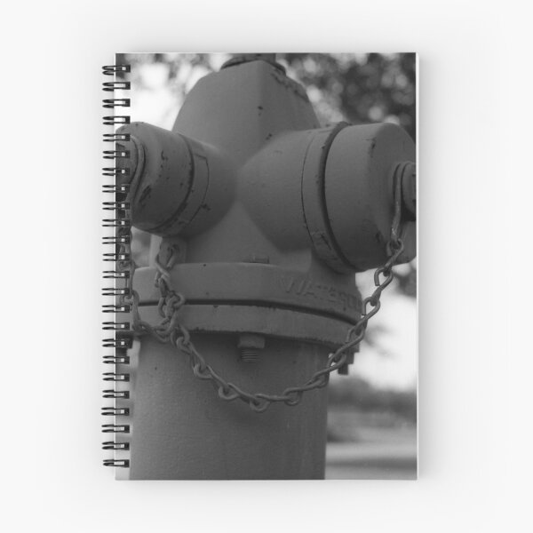 Item preview, Study of a fire hydrant designed and sold by WisePhoto.