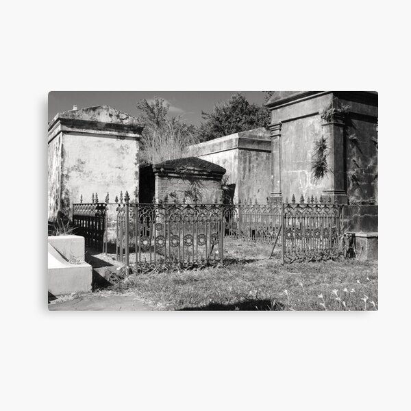 Aperçu de l'œuvre Rusted Cemetery Gates créée et vendue par WisePhoto.