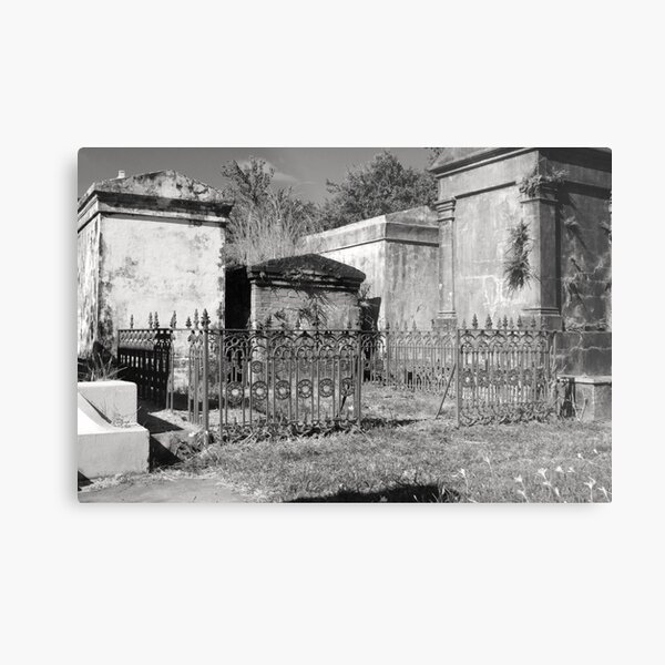 Aperçu de l'œuvre Rusted Cemetery Gates créée et vendue par WisePhoto.