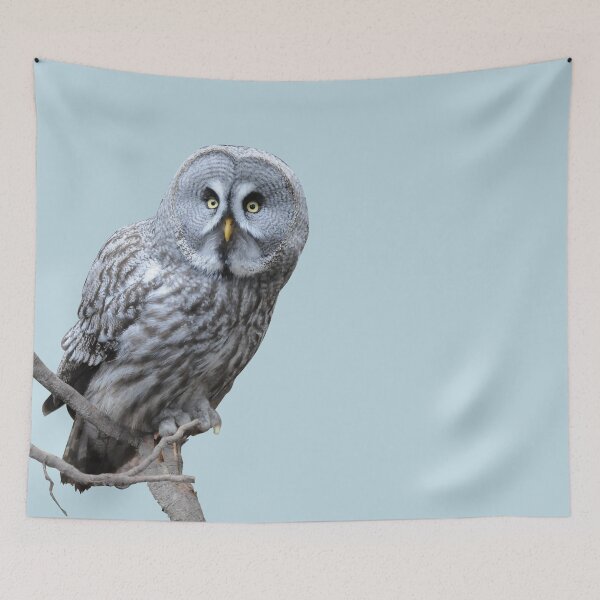 Item preview, Cute Owl Graphic designed and sold by Paula Helit.