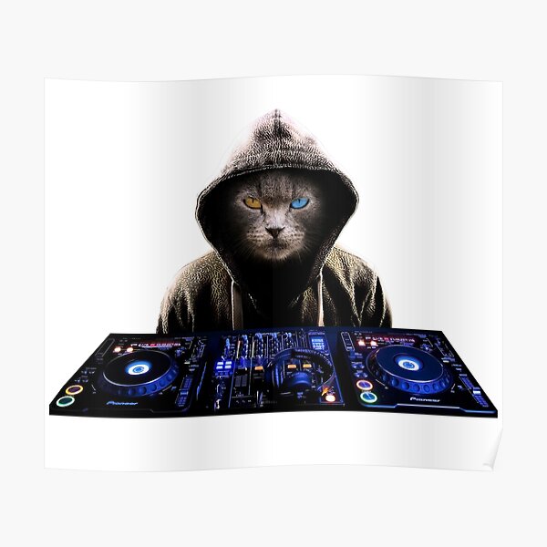 Dj Cat Posters for Sale | Redbubble