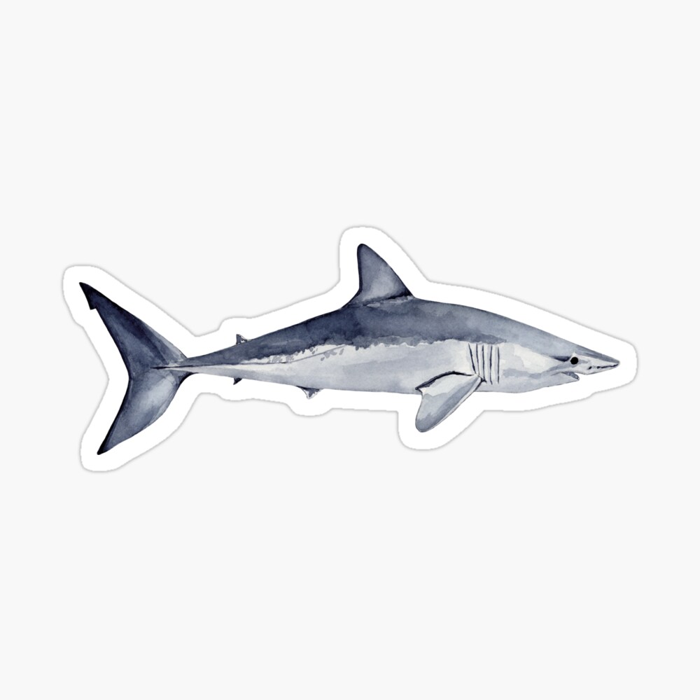 Mako Shark Baby One Piece By Bananaflamingo Redbubble