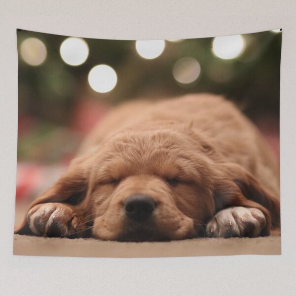 Item preview, Sleepy Pup designed and sold by Emma Parrish.
