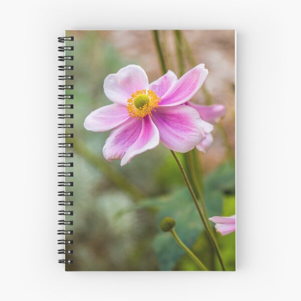 Item preview, Japanese Anemone Flower designed and sold by Leanne Van Den Berg.