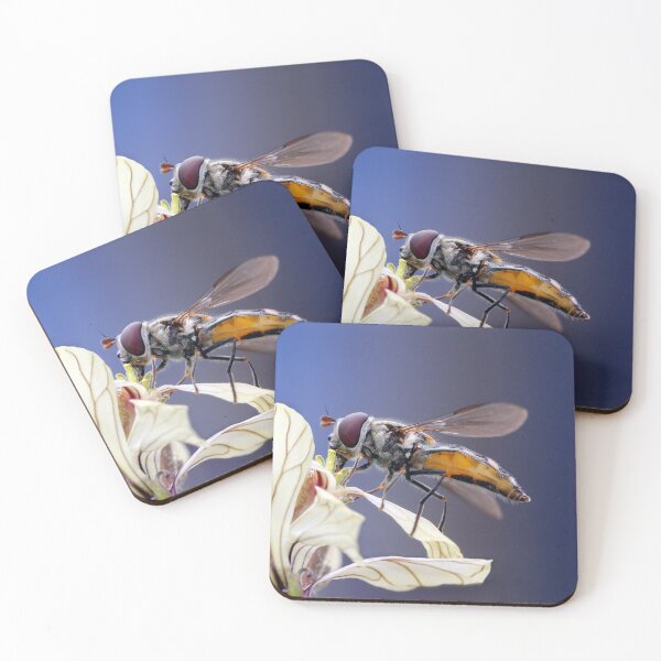 Item preview, The Hover Fly and the Flower designed and sold by Siene Browne.