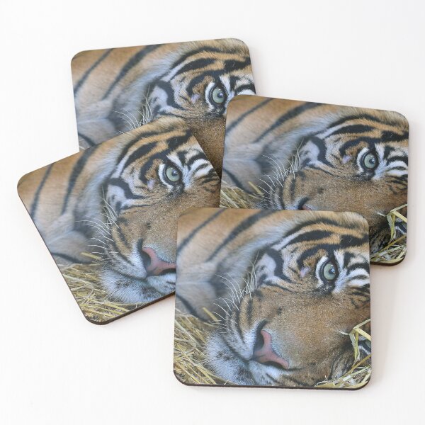 Item preview, Sleepy Tiger designed and sold by MorvalDesigns.
