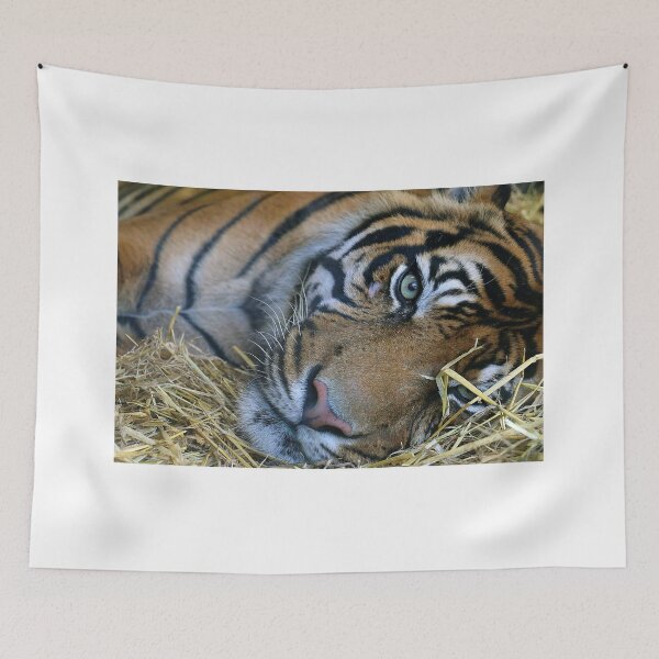 Item preview, Sleepy Tiger designed and sold by MorvalDesigns.