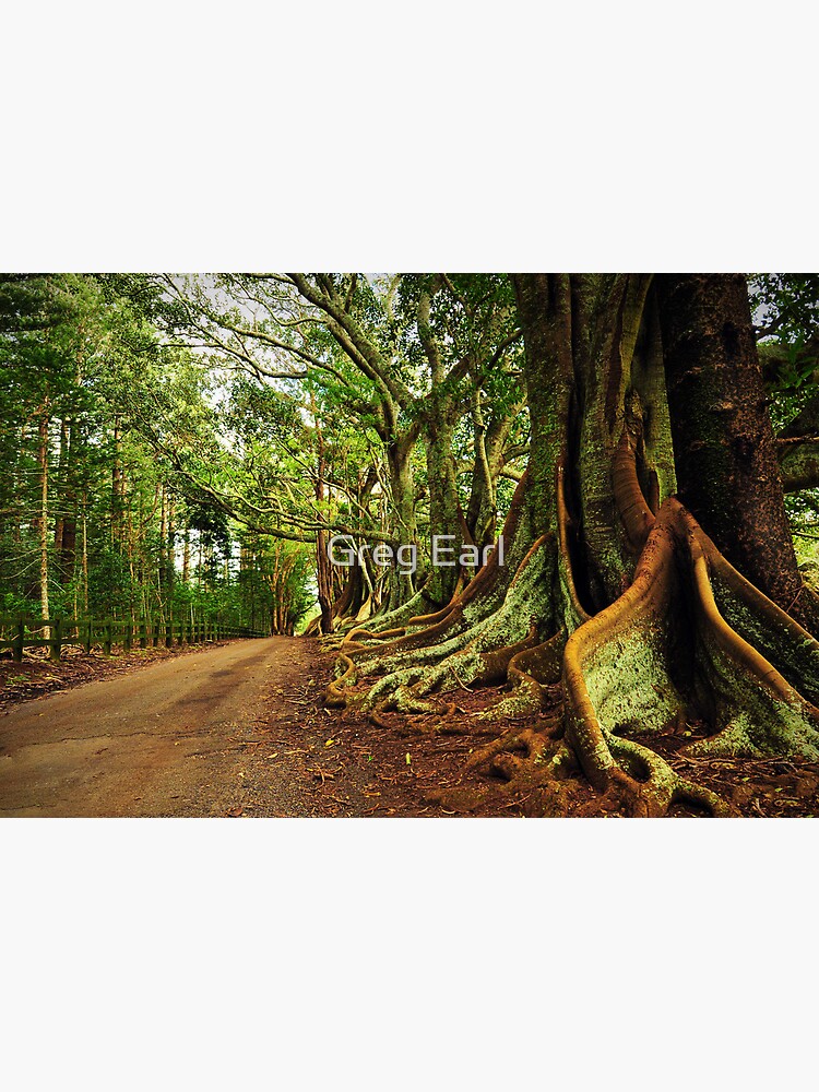 New Farm Road - Norfolk Island by GregEarl