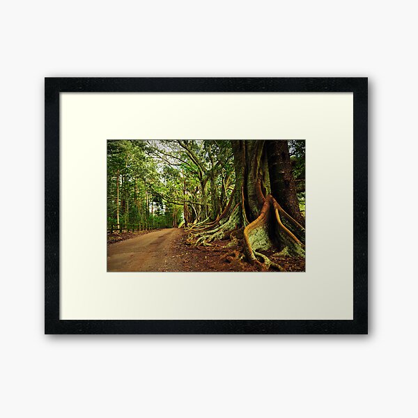 New Farm Road - Norfolk Island Framed Art Print