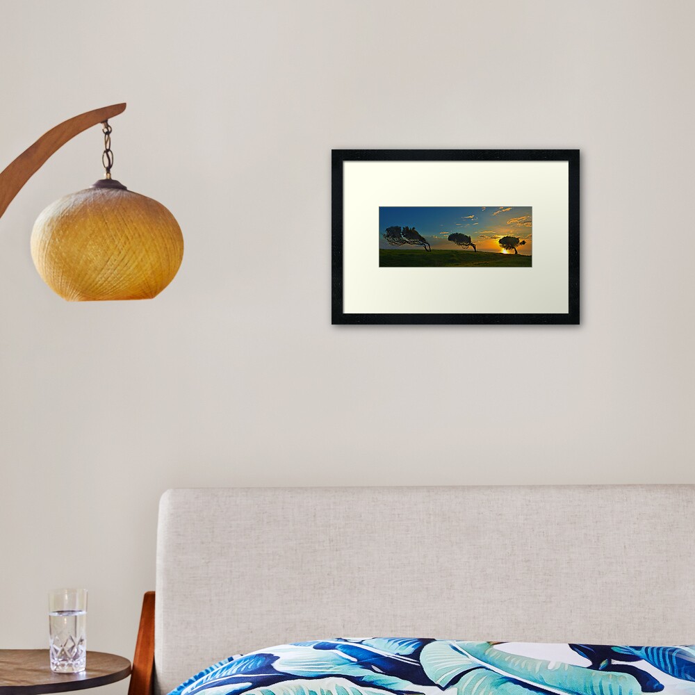 Windswept Trees - Norfolk Island Framed Art Print