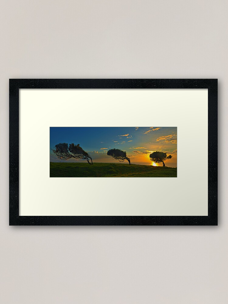 Alternate view of Windswept Trees - Norfolk Island Framed Art Print