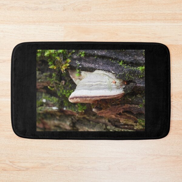 Item preview, Tinder fungus on old fallen Maple designed and sold by Jouko Lehto Photography.
