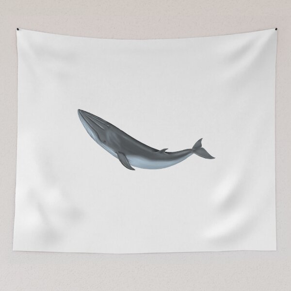 Item preview, Bryde's whale designed and sold by botogabriel.