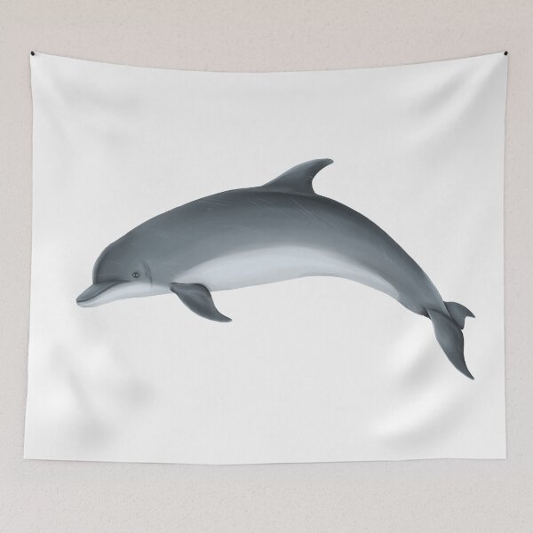 Item preview, Bottlenose dolphin (2) designed and sold by botogabriel.