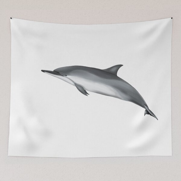 Item preview, Spinner dolphin designed and sold by botogabriel.