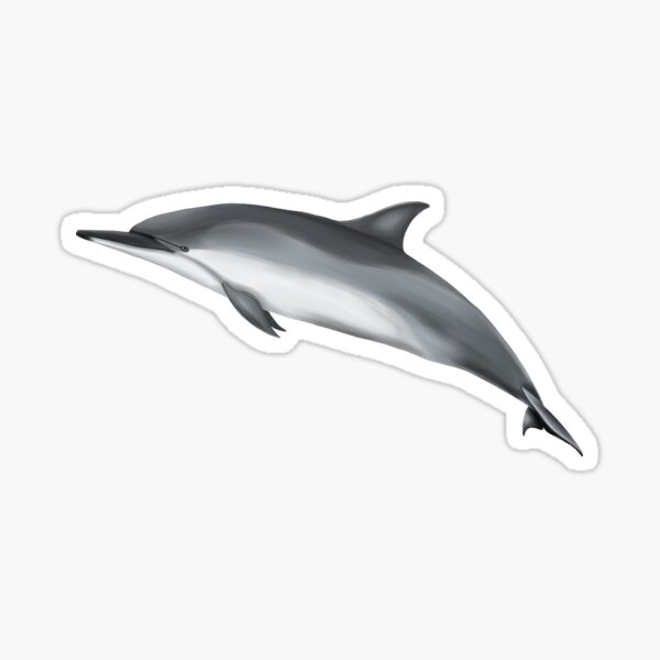 Item preview, Spinner dolphin designed and sold by botogabriel.