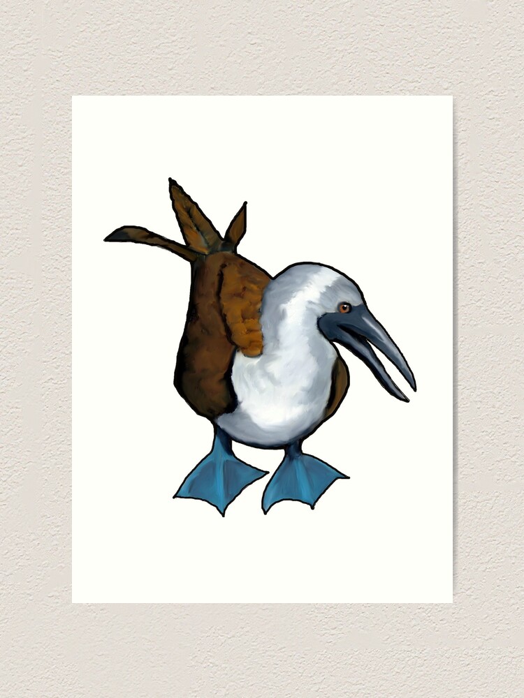 Blue-Footed Booby Bird, Illustration, Wildlife, Art, Marine Bird Art Print  for Sale by Joyce Geleynse