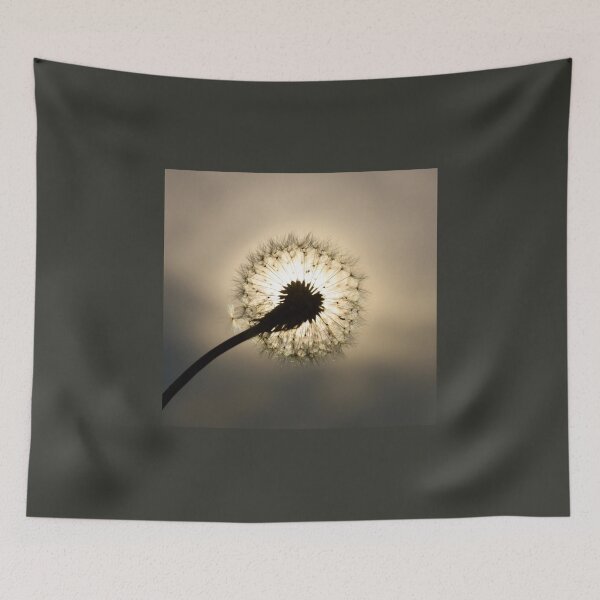 Item preview, Light Up A Wish designed and sold by Nature Embraced  Photography By Natasha Weyers.