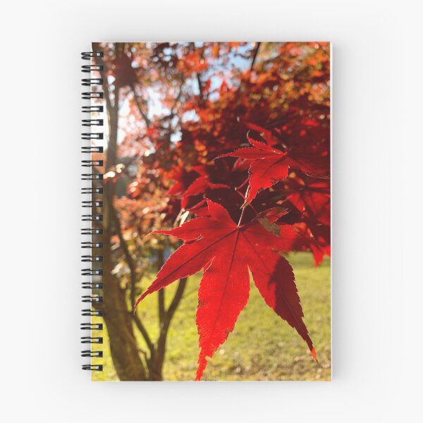 Item preview, Japanese Maple  designed and sold by M-Washington.