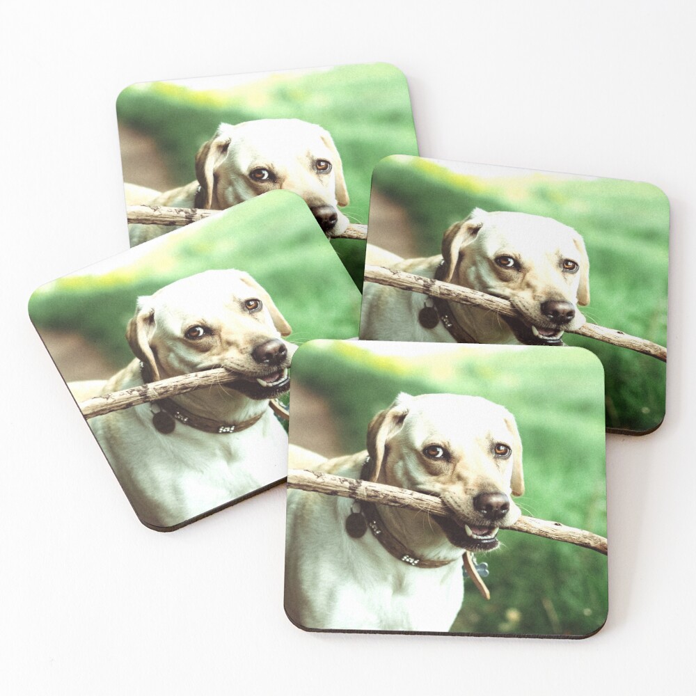 Item preview, Coasters (Set of 4) designed and sold by emmaparrish.