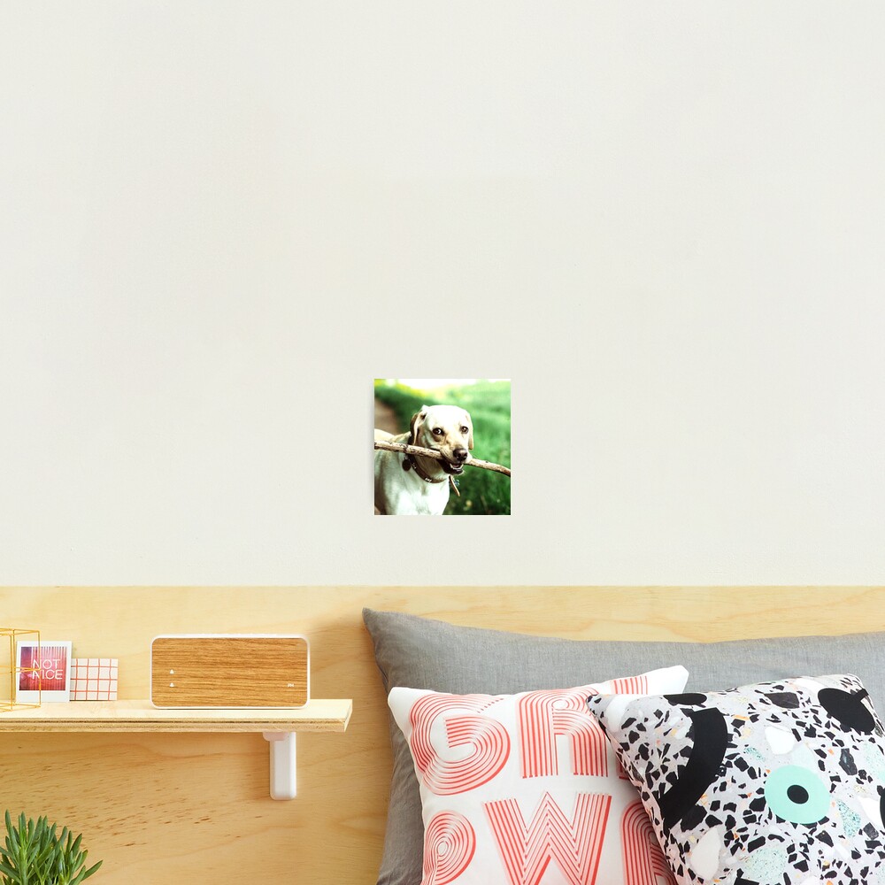 Item preview, Photographic Print designed and sold by emmaparrish.