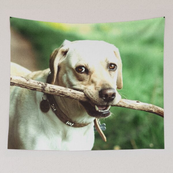 Item preview, Labradaft designed and sold by Emma Parrish.