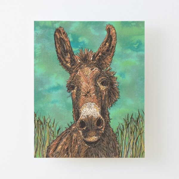 Little Brown Donkey Canvas Mounted Print