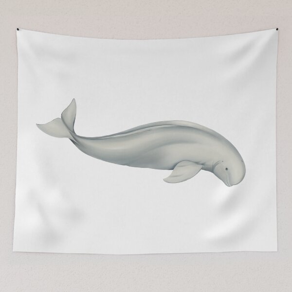 Item preview, Finless Porpoise/ Yangtze River porpoise  designed and sold by botogabriel.