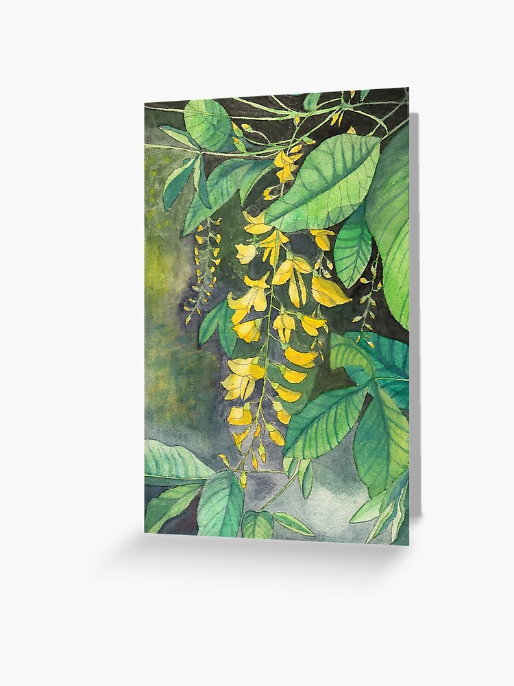 Laburnum Flowering Ornamental Tree Golden Chain Stock Illustration  402759655 | Shutterstock