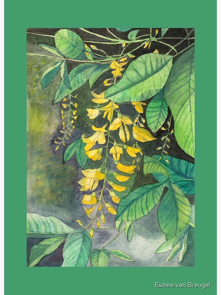 Leaves Art Print – Plant Van