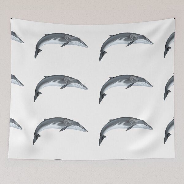 Item preview, Fin whale designed and sold by botogabriel.