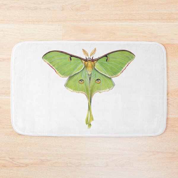 Item preview, Luna Moth (Actias luna) II designed and sold by JadaFitch.