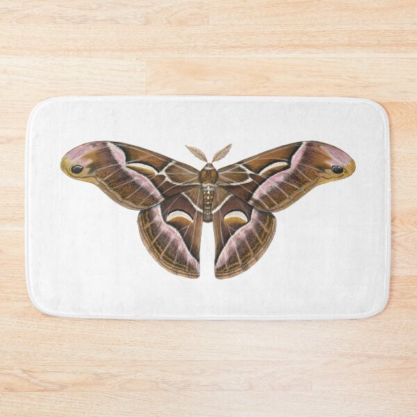 Item preview, Ailanthus Silkmoth (Samia cynthia) designed and sold by JadaFitch.