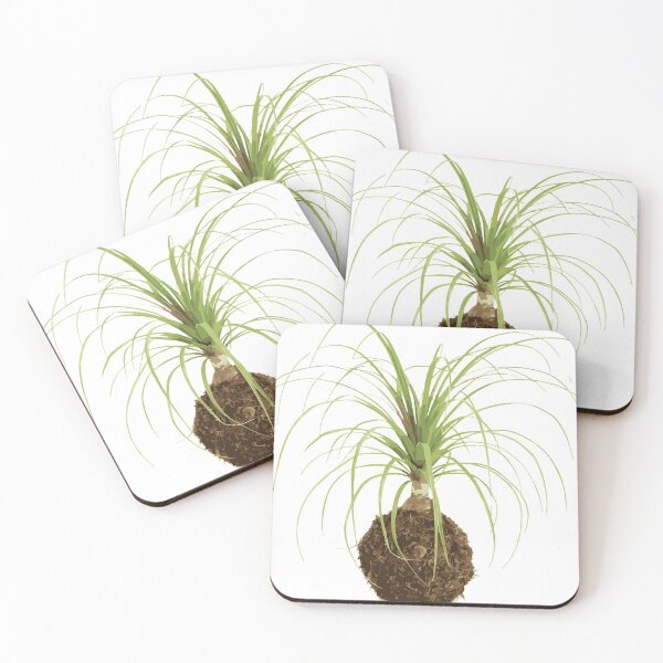 Item preview, Ponytail palm tree | Illustration, gift idea designed and sold by Chillions.
