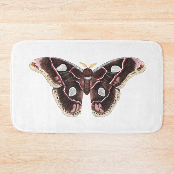 Item preview, Forbes' Silkmoth  (Rothschildia forbesi) designed and sold by JadaFitch.