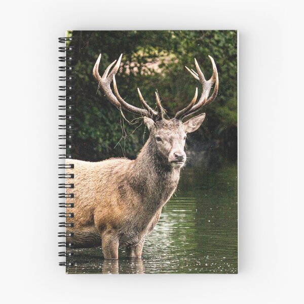 Item preview, Deer in the water designed and sold by wolfgangrainer.