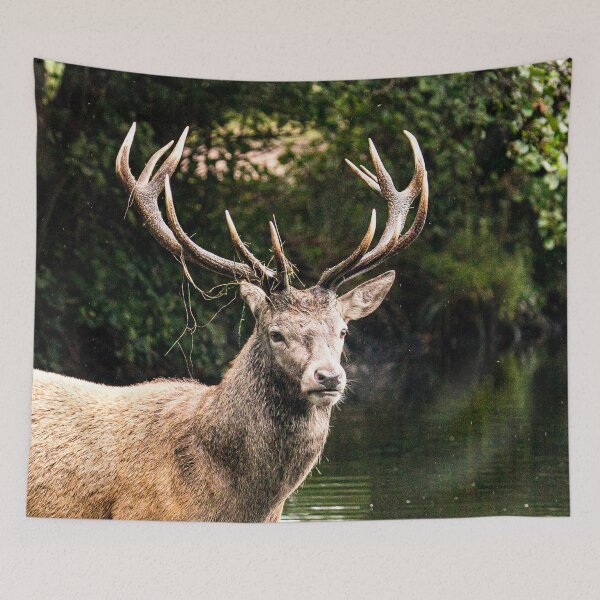 Item preview, Deer in the water designed and sold by wolfgangrainer.