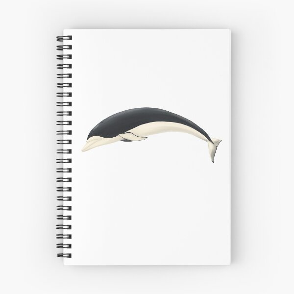 Aperçu de l'œuvre Dauphin baleine franche australe créée et vendue par botogabriel.