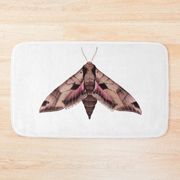 Item preview, Achemon Sphinx Moth (Eumorpha achemon) designed and sold by JadaFitch.