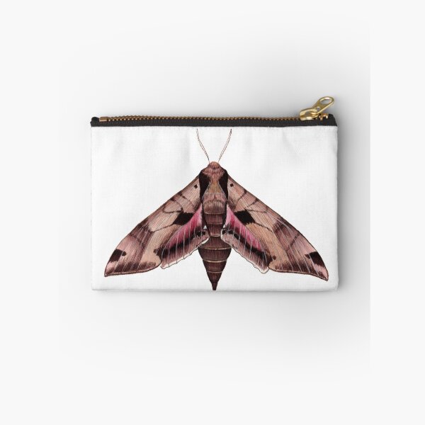 Item preview, Achemon Sphinx Moth (Eumorpha achemon) designed and sold by JadaFitch.