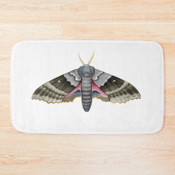 Item preview, Modest Sphinx (Pachysphinx modesta) designed and sold by JadaFitch.