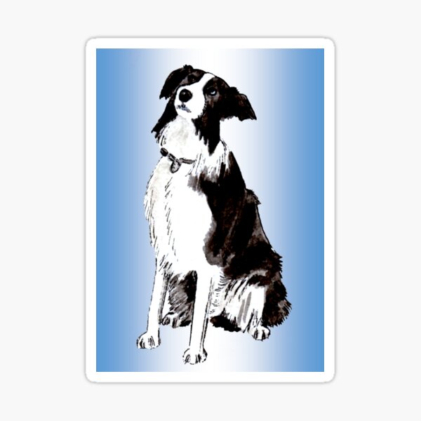 Devoted - Border Collie Sticker