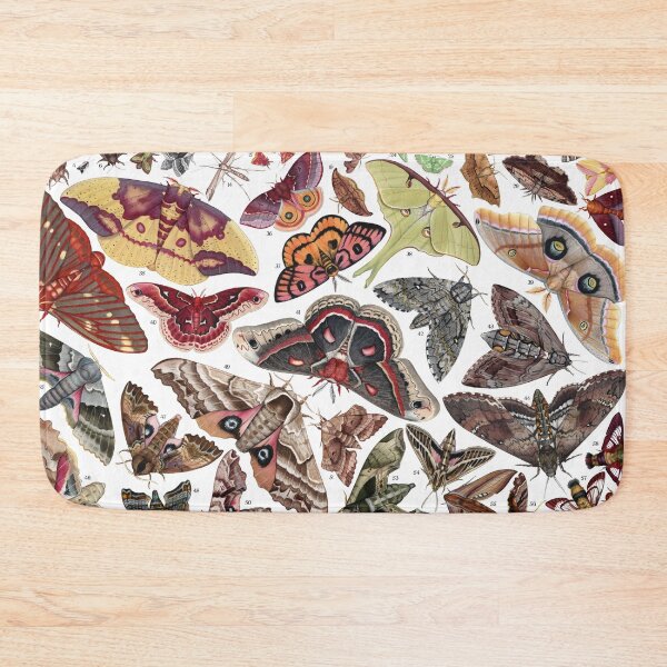 Item preview, Moths of North America designed and sold by JadaFitch.