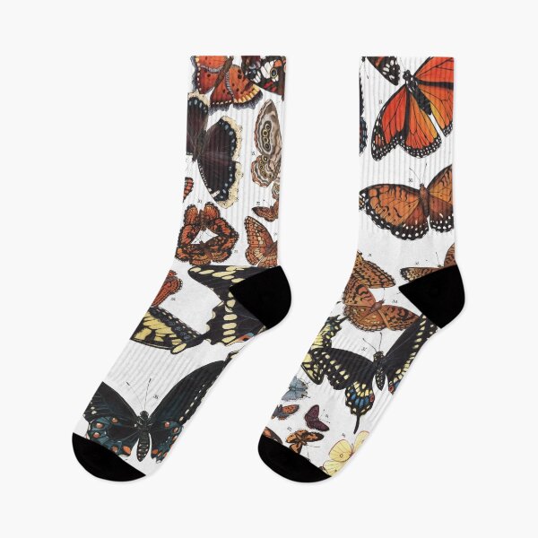 Item preview, Butterflies of Maine Chart designed and sold by JadaFitch.