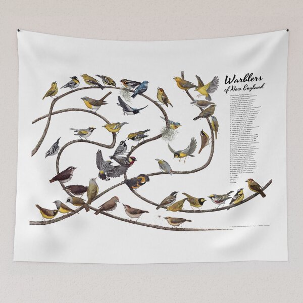 Item preview, Warblers of New England  designed and sold by JadaFitch.