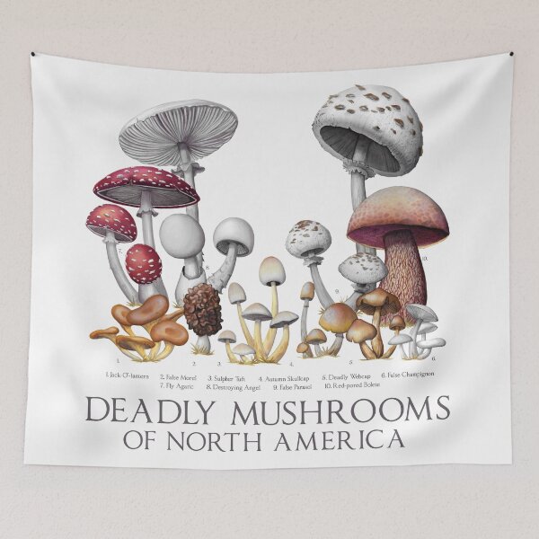 Item preview, Deadly Mushrooms of North America  designed and sold by JadaFitch.