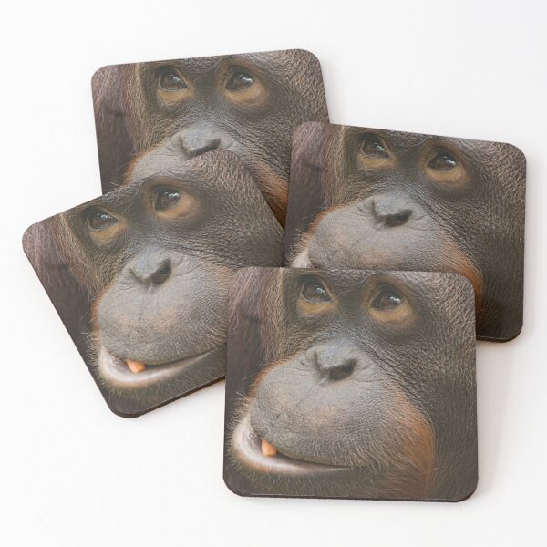 Artikelvorschau, Orang-Utan entworfen und verkauft von rawshutterbug.