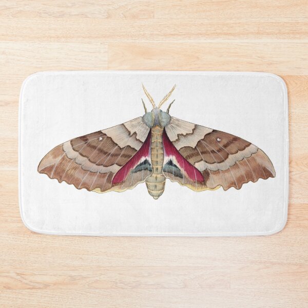 Item preview, Big Poplar Sphinx (Pachysphinx occidentalis) designed and sold by JadaFitch.